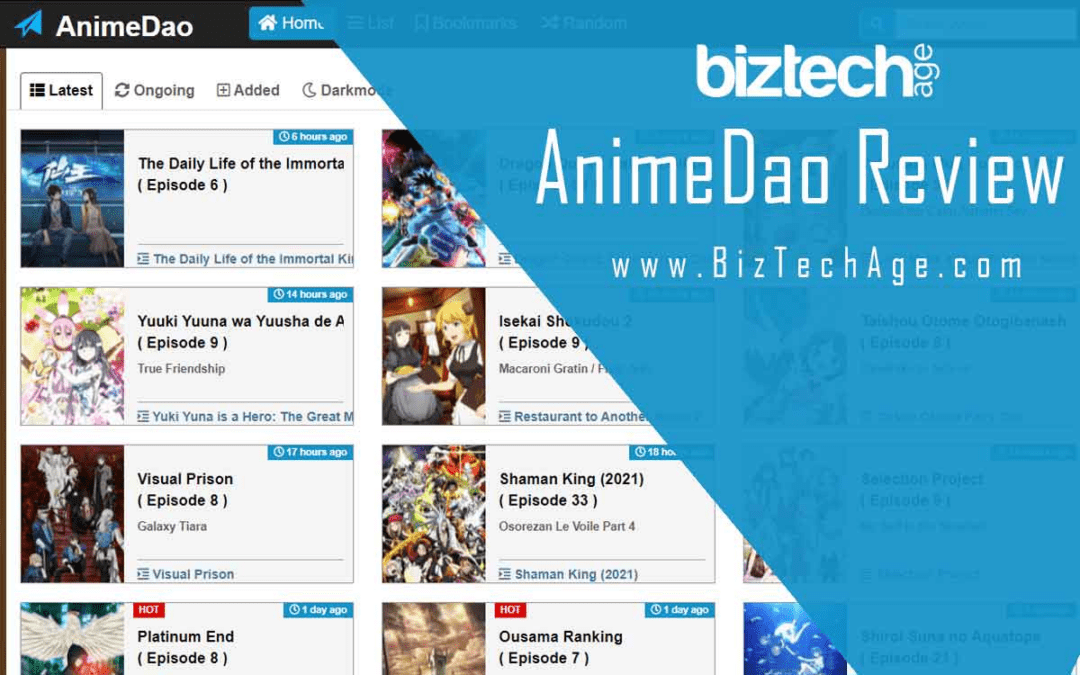 What Is AnimeDao?