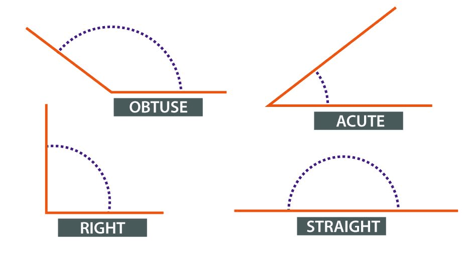 The Basics of Geometry: