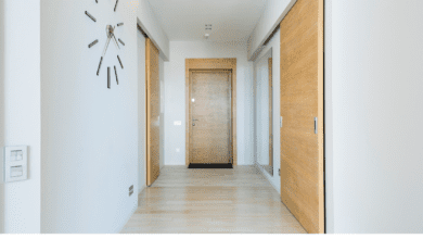 Some of the Best Safety Door Designs for Indian Homes in 2024