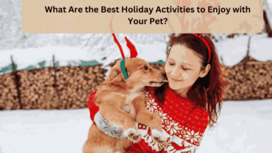 What Are the Best Holiday Activities to Enjoy with Your Pet