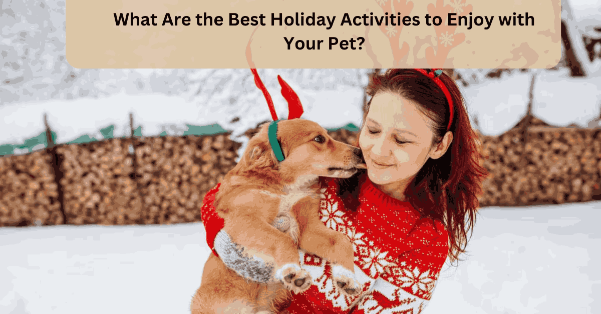 What Are the Best Holiday Activities to Enjoy with Your Pet