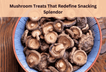 Mushroom Treats That Redefine Snacking Splendor