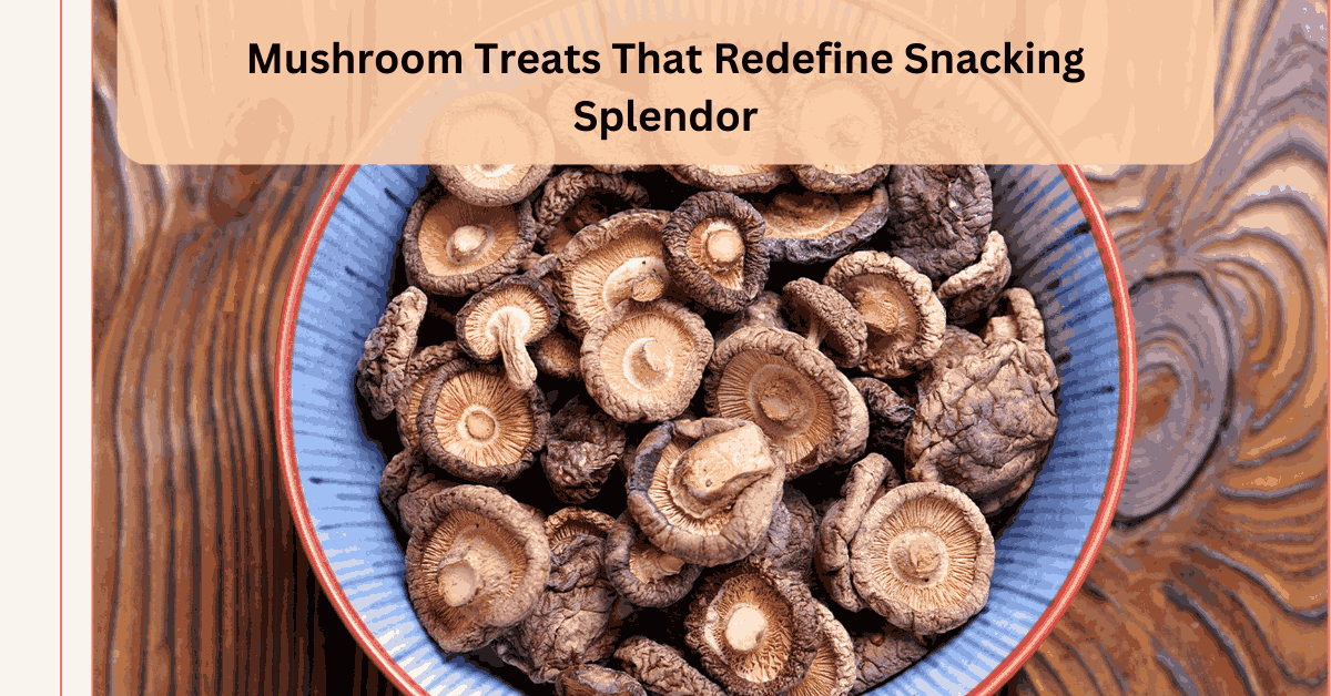 Mushroom Treats That Redefine Snacking Splendor