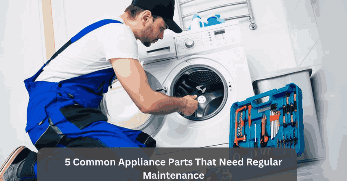 5 Common Appliance Parts That Need Regular Maintenance
