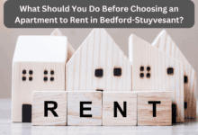 What Should You Do Before Choosing an Apartment to Rent in Bedford-Stuyvesant