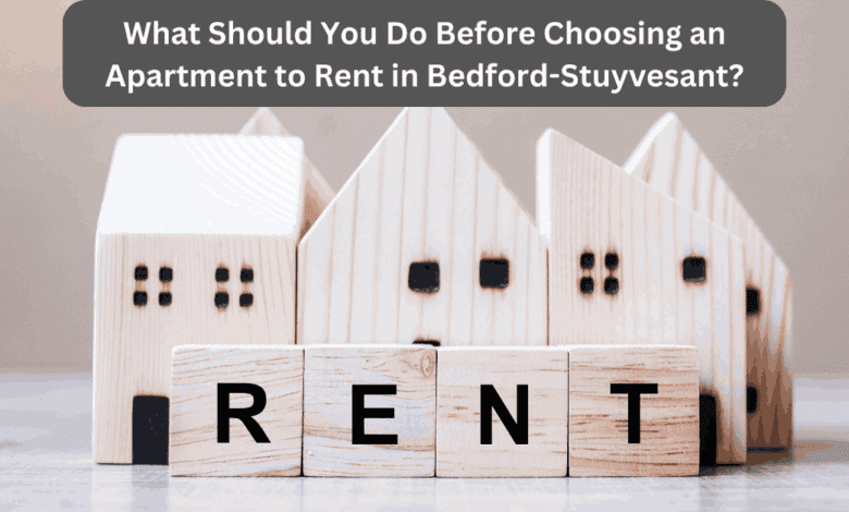 What Should You Do Before Choosing an Apartment to Rent in Bedford-Stuyvesant