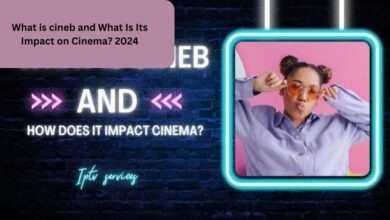 What is cineb and What Is Its Impact on Cinema? 2024