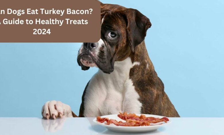 Can Dogs Eat Turkey Bacon A Guide to Healthy Treats 2024