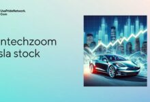 fintechzoom tsla stock