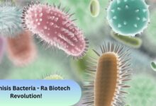 Techonisis Bacteria - Ra Biotech Revolution!