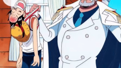 Why Did Manga Pill Stop Supporting Manhwa?